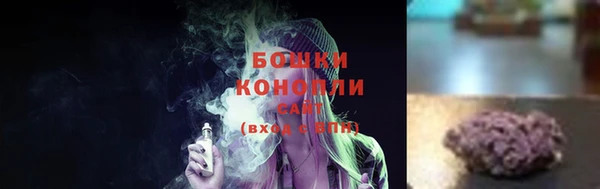 ГАЛЛЮЦИНОГЕННЫЕ ГРИБЫ Алзамай