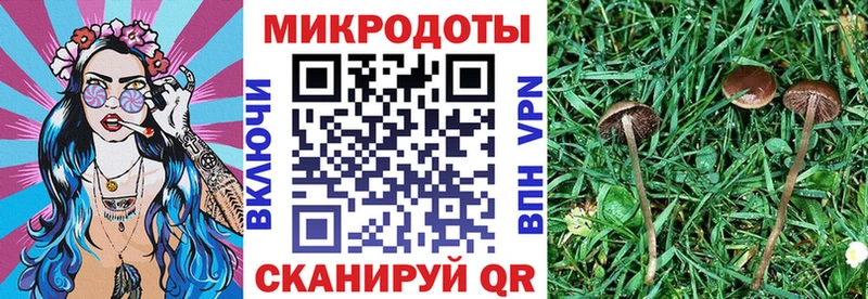 где купить наркоту  Заинск  Галлюциногенные грибы ЛСД 