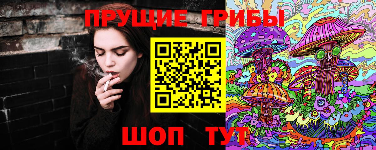 Псилоцибиновые грибы MAGIC MUSHROOMS  Вход с VPN  Заинск 