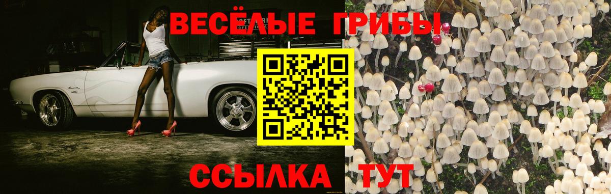 Галлюциногенные грибы Magic Shrooms Заинск