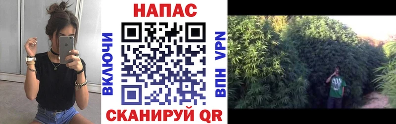 Шишки марихуана SATIVA & INDICA  мега   Заинск 